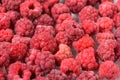 Background of frozen raspberries, fresh berries covered with frost, top view. macro photo close-up Royalty Free Stock Photo