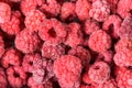 Background of frozen raspberries, fresh berries covered with frost Royalty Free Stock Photo