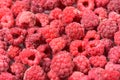 Background of frozen raspberries, fresh berries covered with frost, top view. macro photo close-up Royalty Free Stock Photo