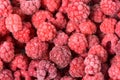 Background of frozen raspberries, fresh berries covered with frost, top view. macro photo close-up Royalty Free Stock Photo