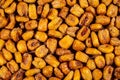 Background full of roasted raw salty corn or maize kernel Royalty Free Stock Photo