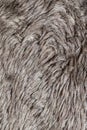 Background fur Royalty Free Stock Photo
