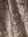 Background fur Royalty Free Stock Photo