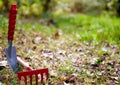 Background, garden cleaning, small shovel, rake, on left Royalty Free Stock Photo