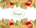 Background with ginger root set, flower, ginger powder ina pack and in a bowl, and sliced ginger.
