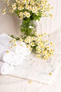 Background for glass and plastic bottles of essence or serum and with chamomile flowers Royalty Free Stock Photo
