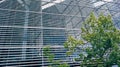 Background of glass windows with metal lines. Detail of the facade of the office building Royalty Free Stock Photo