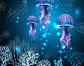 Background with Glowing vivid transparent jellyfishes Vector background Royalty Free Stock Photo