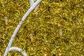 background of gold glittering tinsel Royalty Free Stock Photo