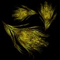 Background golden feathers fall Royalty Free Stock Photo