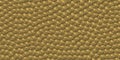 Background with golden pearls