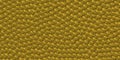 Background with golden pearls