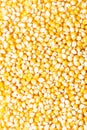 Background of fresh golden raw corn kernels Royalty Free Stock Photo