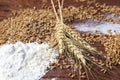 background of wheat grains with ears and white crumbling flour scattered on wooden table