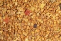 Background from grains of cereals with dry fruits. Muesli texture Royalty Free Stock Photo