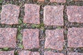 Background of granite squares with green moss Royalty Free Stock Photo