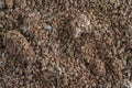 Background with granulated instant coffee grounds spoiled by mold Royalty Free Stock Photo