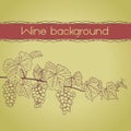 Background with grapevine outline with grapes