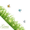 Background with grass and butterflies Royalty Free Stock Photo