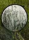 Background of grass shadows on diffuse photo reflector on the background of a field grass