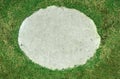 Background, grass through slab on the pavement. Royalty Free Stock Photo