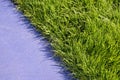 Grass texture and blue concrete Royalty Free Stock Photo