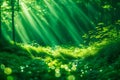 Background of green abstract nature bokeh Royalty Free Stock Photo