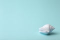 Background green blue color with seashells. Sea and ocean background with white shell. Copy space Royalty Free Stock Photo