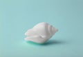 Background green blue color with seashells. Sea and ocean background with white shell. Copy space Royalty Free Stock Photo