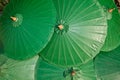 Background of green chinese umbrella. Royalty Free Stock Photo