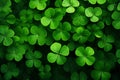 Background with green clover leaves. Shamrock plant in fresh green juicy colors. Generative AI