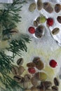 Background of green coffee beans, red berry, acorn and twig in ice cube with air bubbles