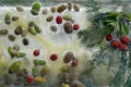 Background of green coffee beans, red berry, acorn and twig in ice cube with air bubbles