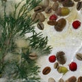 Background of green coffee beans, red berry, acorn and twig in ice cube with air bubbles