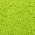 Background of green color Royalty Free Stock Photo