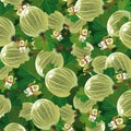 Background of the green gooseberry