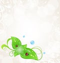 Background with green leaves and ladybugs Royalty Free Stock Photo