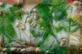 Background of green leaves of oak and green coffee beans and acorn in ice cube with air bubbles