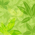 Background of green leaves