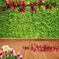 Background of green leaves and wooden floor with a branch with red flowers red petals on the ground and pink and white flowers