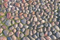 Background of green moss cobblestones, old pavement Royalty Free Stock Photo