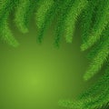 Background of green prickly branches of a Christmas tree Royalty Free Stock Photo