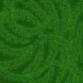 Background of green prickly branches of a Christmas tree Royalty Free Stock Photo