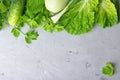 Background with green vegetables, salad, cucumber,green onion and zucchini on gray stone table top