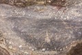 Grey and purple-white Migmatite Royalty Free Stock Photo