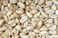Background with groundnuts. Close up. Royalty Free Stock Photo