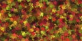 Background group autumn colorful leaves