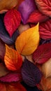 Background group autumn orange leaves. Royalty Free Stock Photo