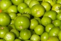 Background of groups of immature tomato market. Agriculture Royalty Free Stock Photo