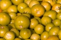 Background of groups immature tomato market. Agriculture Royalty Free Stock Photo